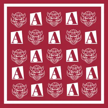Arkansas Scarf