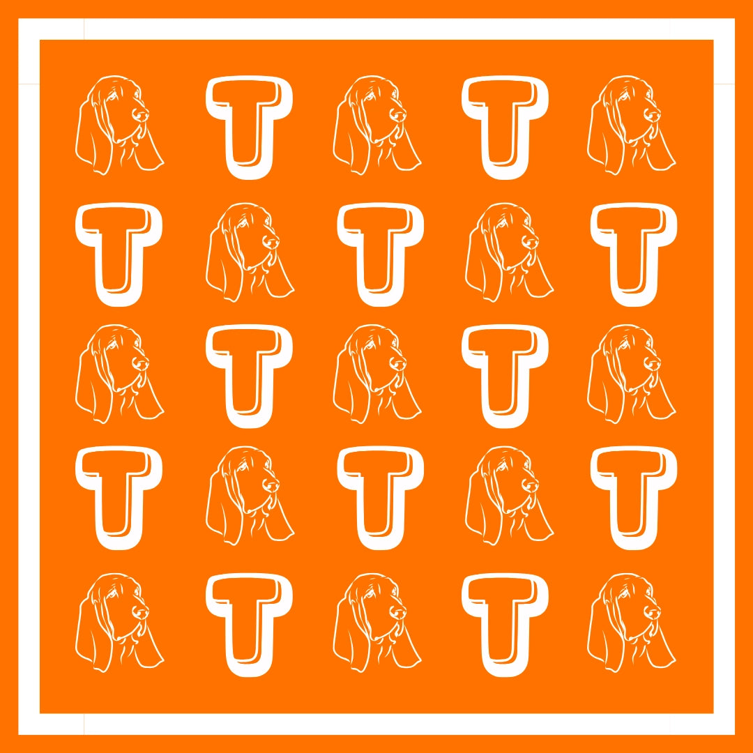 Big Orange Scarf
