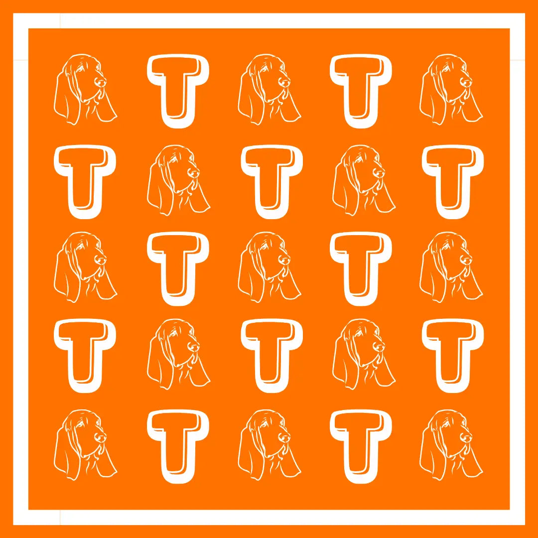 Tennessee Scarf