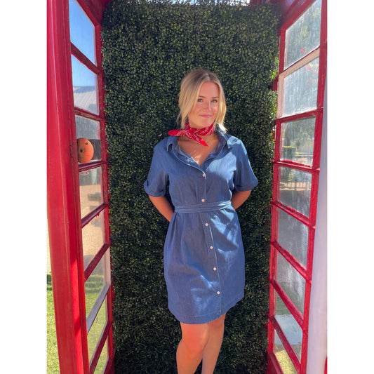 Hayes Denim Dress