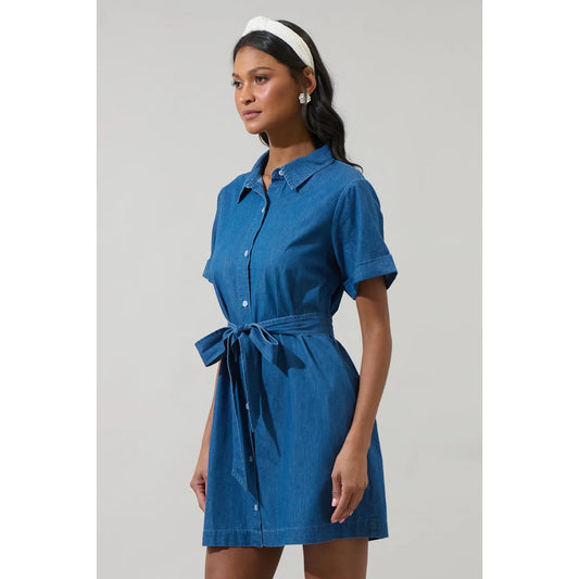 Hayes Denim Dress