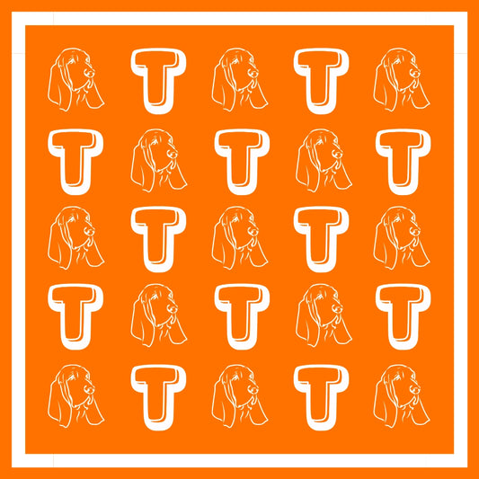 Big Orange Scarf