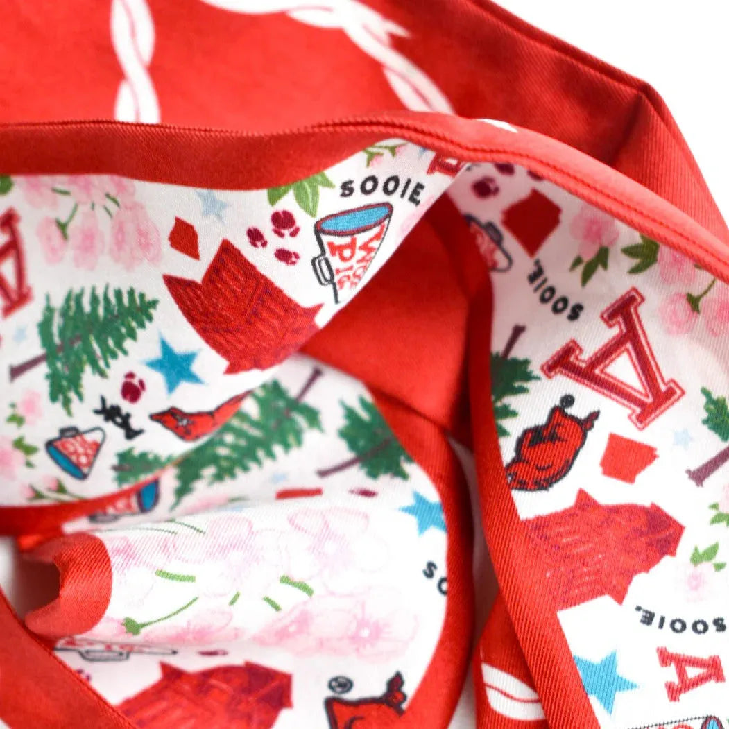 Arkansas Skinny Scarf