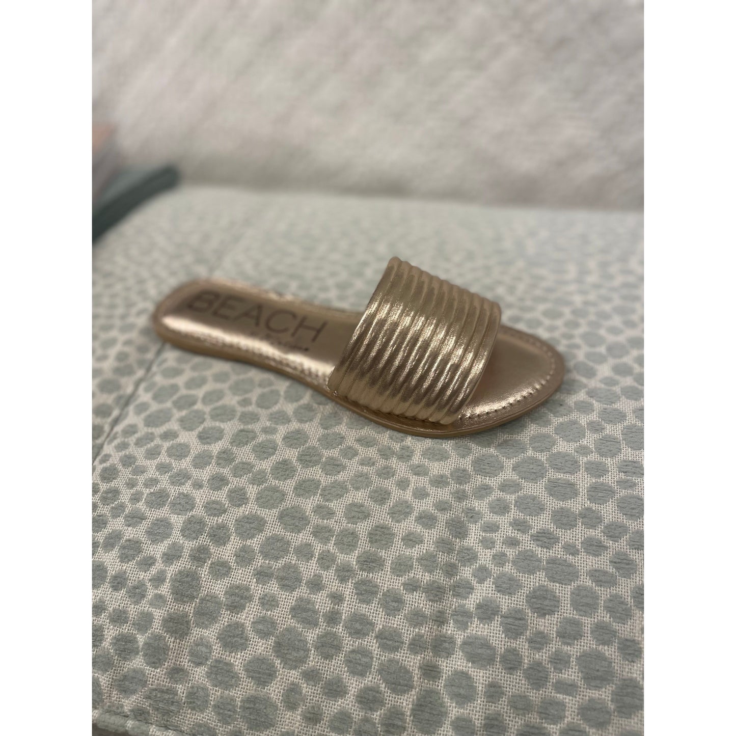 Troller Slides