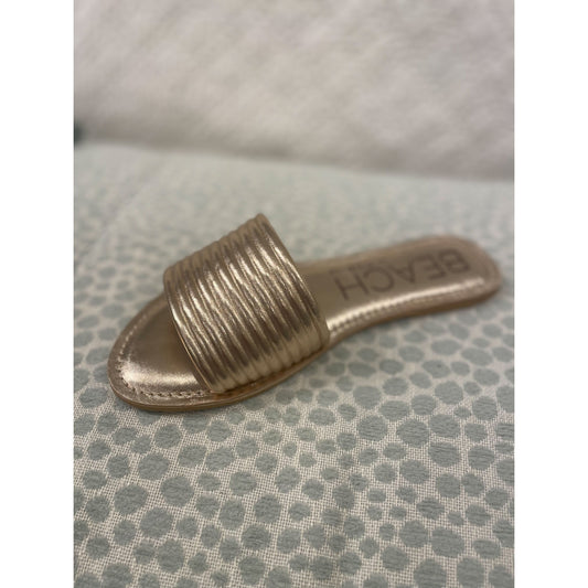 Troller Slides