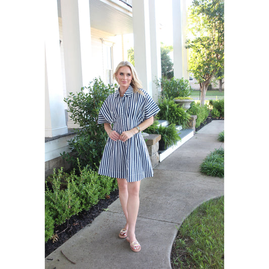 Skye Striped Dress