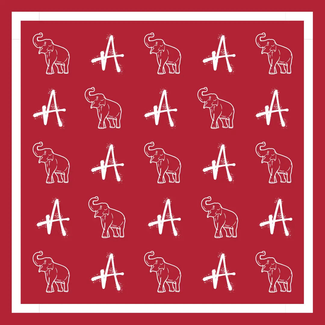 Alabama Scarf