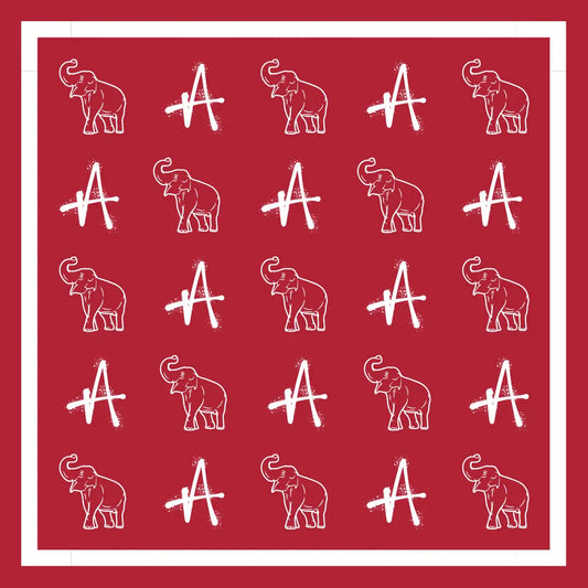 Alabama Scarf